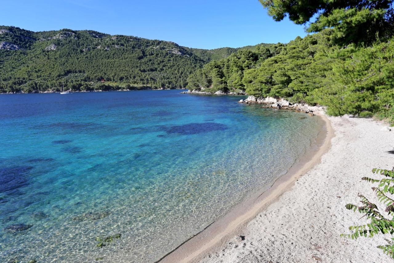 Apartments And Rooms By The Sea Zuljana, Peljesac - 256 Exteriér fotografie